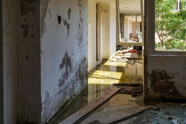 Cost of Water Removal Service in New Lenox