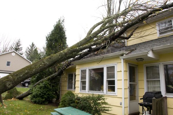 Hurricane Damage Repair in New Lenox