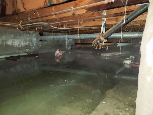 Crawlspace Water Restoration in New Lenox
